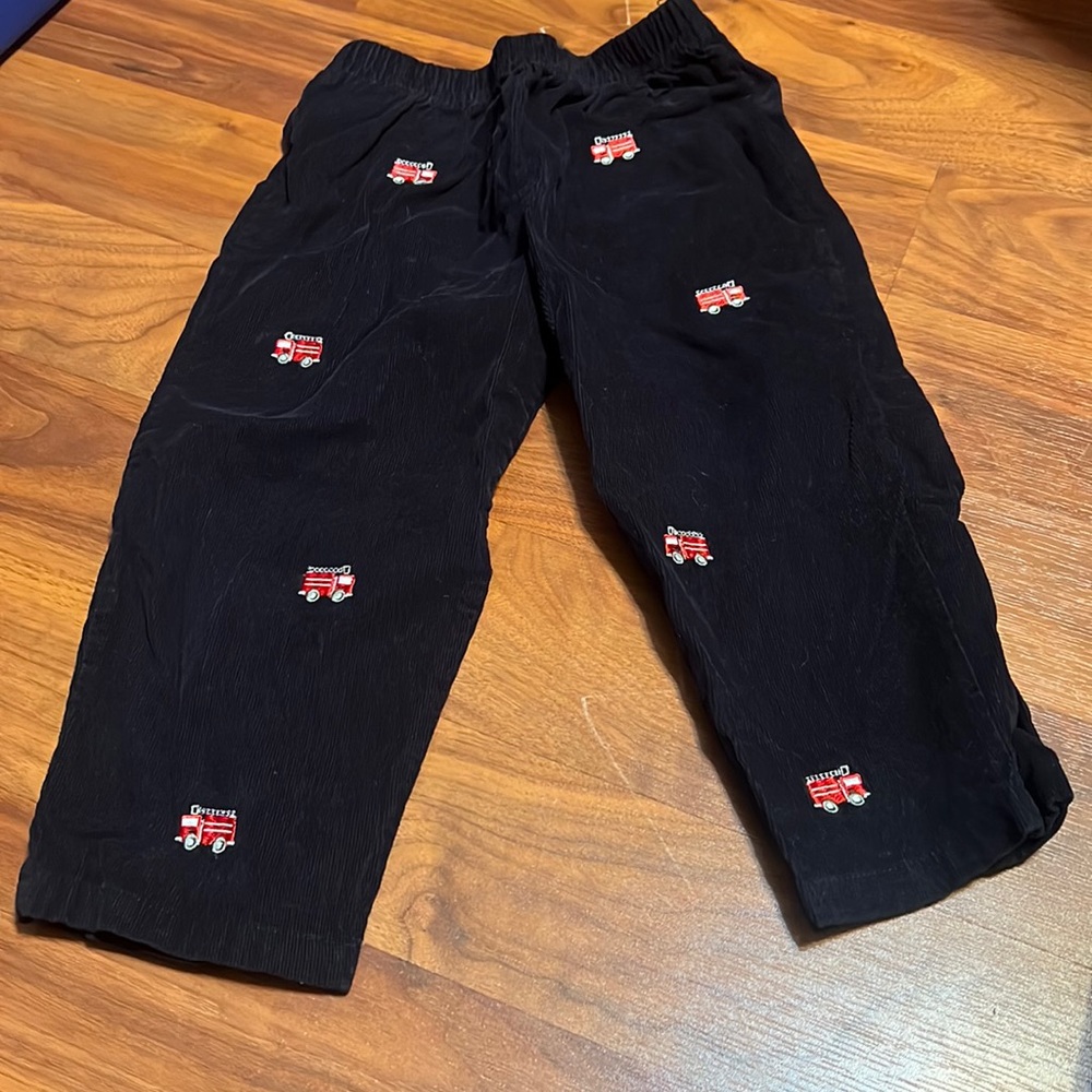 Orient Expressed 3T pants